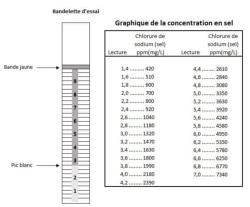 BANDELETTES POUR ANALAYSE SEL